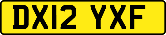 DX12YXF