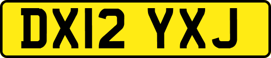 DX12YXJ