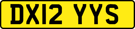 DX12YYS