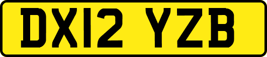 DX12YZB