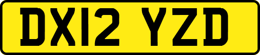 DX12YZD