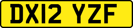 DX12YZF