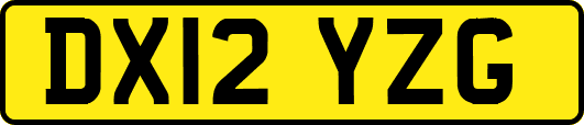 DX12YZG