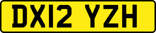 DX12YZH