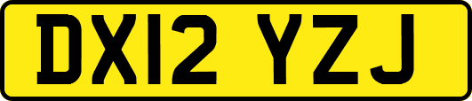 DX12YZJ