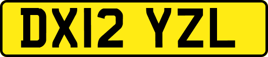 DX12YZL