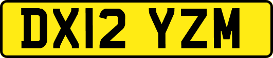 DX12YZM