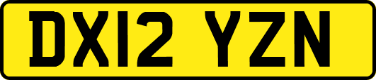 DX12YZN