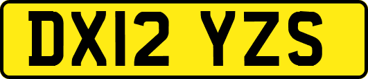 DX12YZS