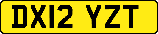 DX12YZT