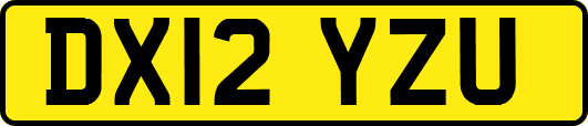 DX12YZU
