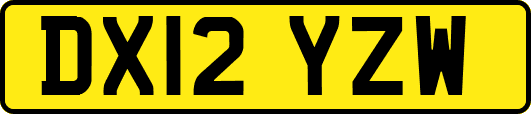 DX12YZW