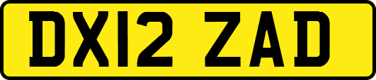 DX12ZAD