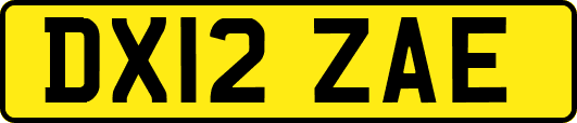 DX12ZAE
