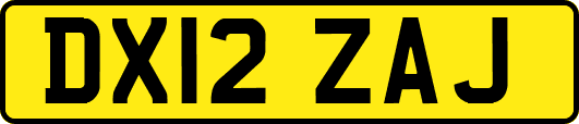 DX12ZAJ