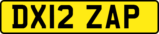 DX12ZAP