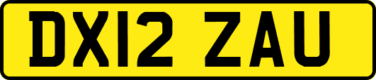 DX12ZAU