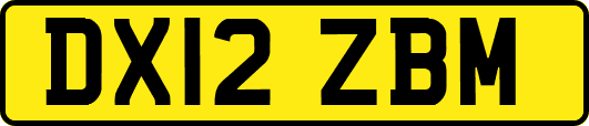 DX12ZBM
