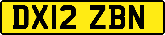 DX12ZBN