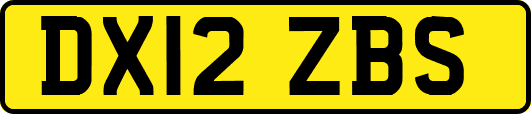 DX12ZBS