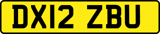 DX12ZBU