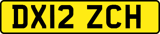 DX12ZCH