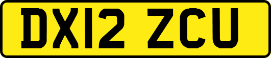 DX12ZCU
