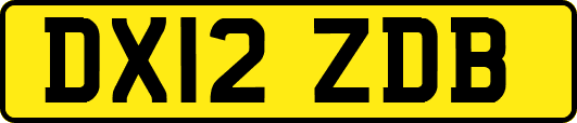 DX12ZDB
