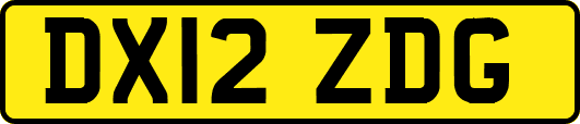 DX12ZDG