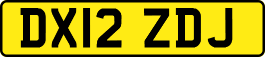 DX12ZDJ
