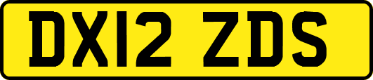 DX12ZDS