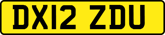 DX12ZDU