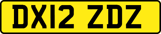 DX12ZDZ
