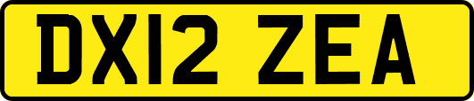 DX12ZEA