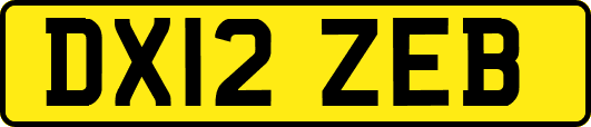 DX12ZEB