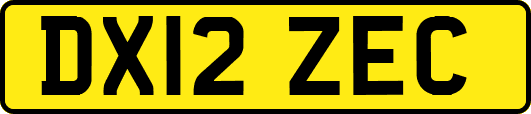 DX12ZEC