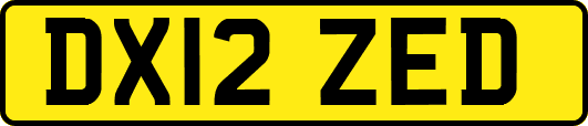 DX12ZED