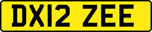 DX12ZEE