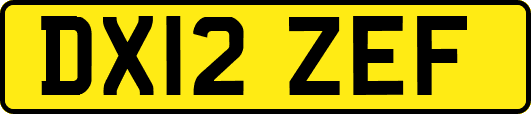 DX12ZEF