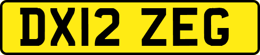 DX12ZEG