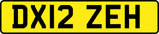 DX12ZEH