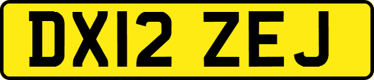 DX12ZEJ
