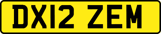 DX12ZEM