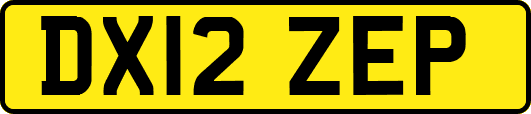 DX12ZEP