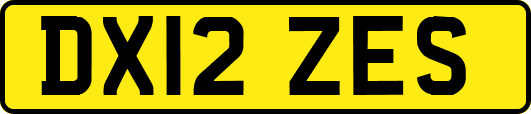 DX12ZES