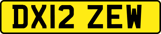 DX12ZEW