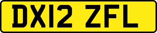 DX12ZFL