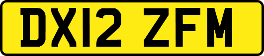 DX12ZFM
