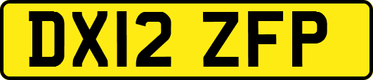 DX12ZFP