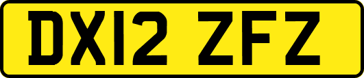 DX12ZFZ